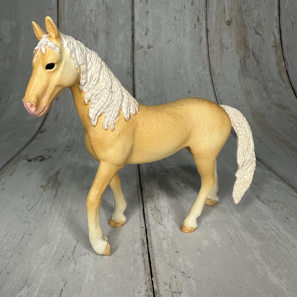 Akhal Teke Stallion Horse