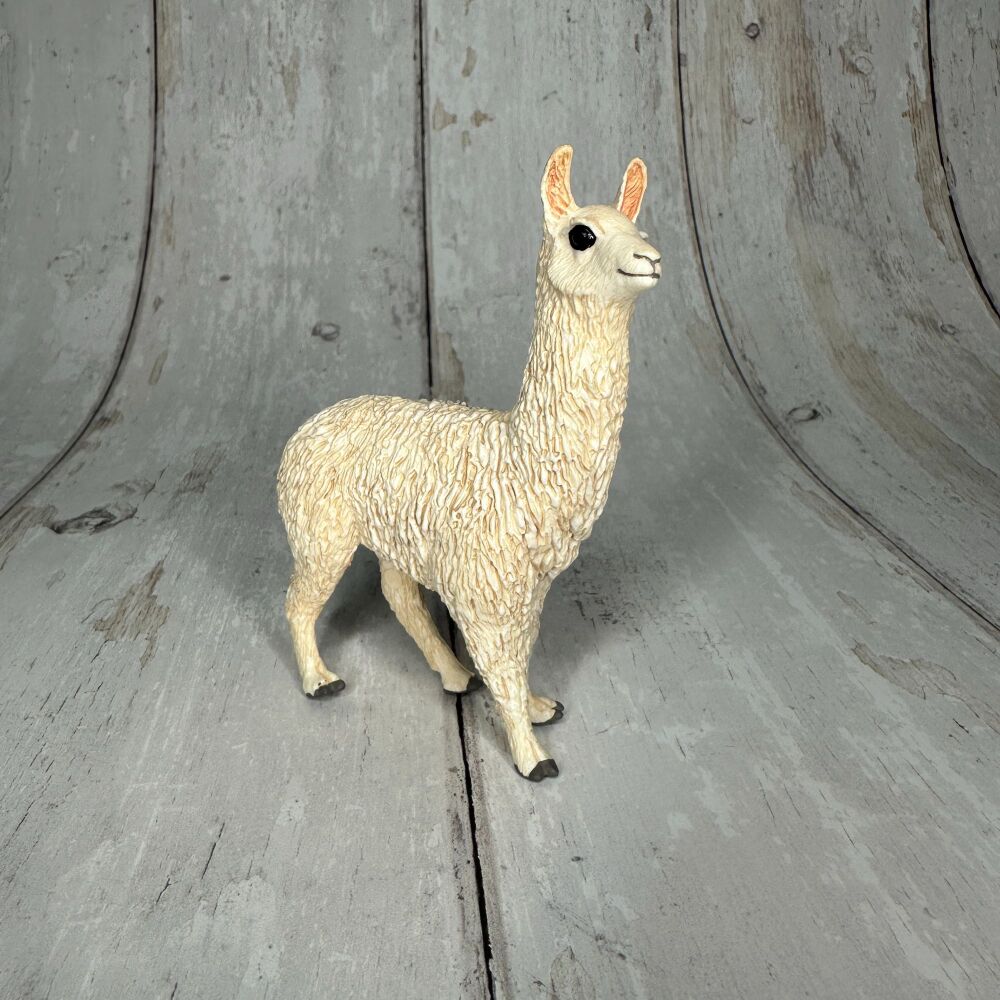Llama
