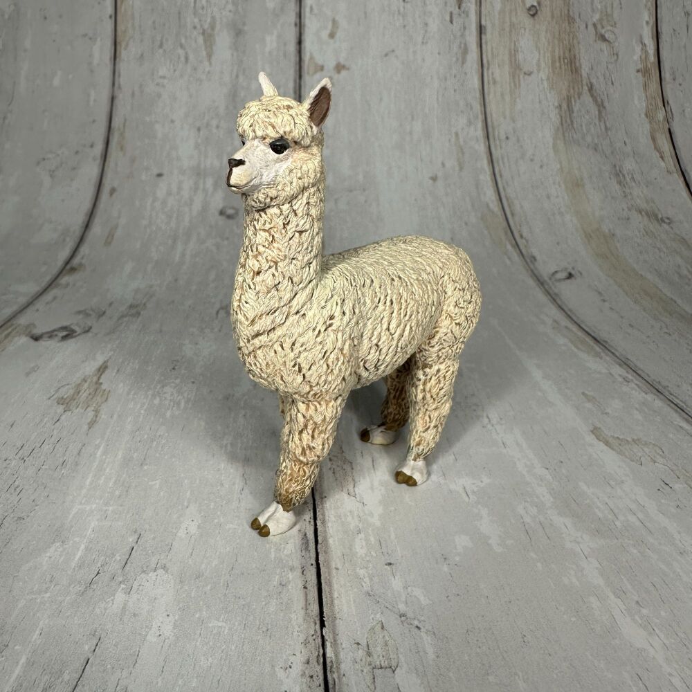 Alpaca