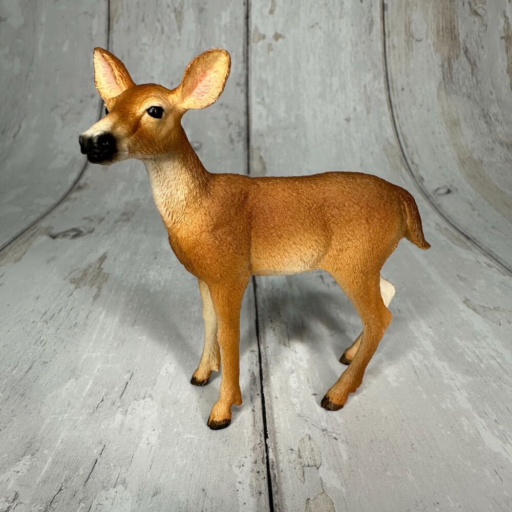 White-Tailed Doe