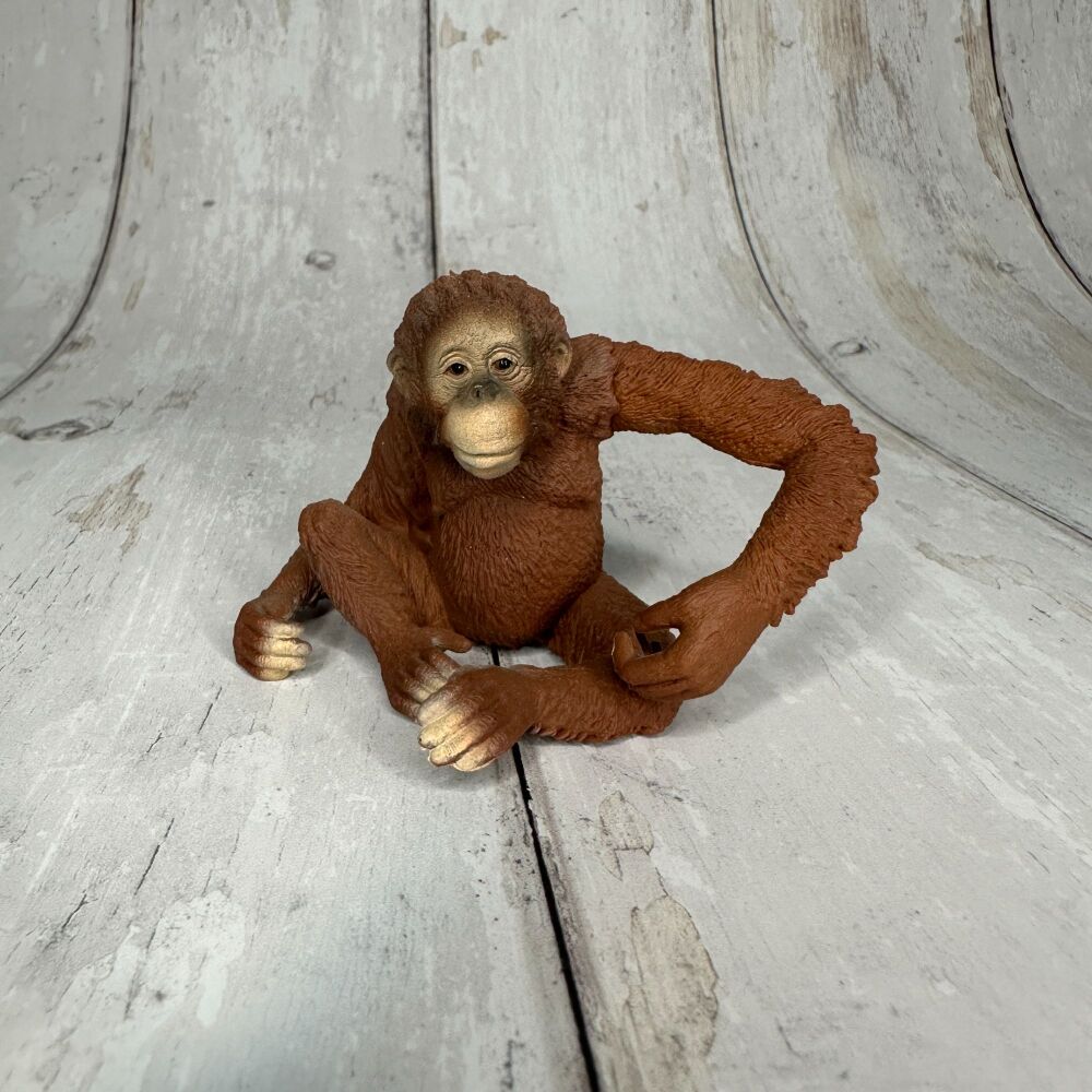 Orangutan