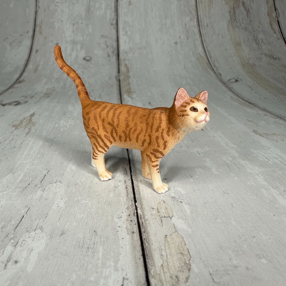 Ginger Cat