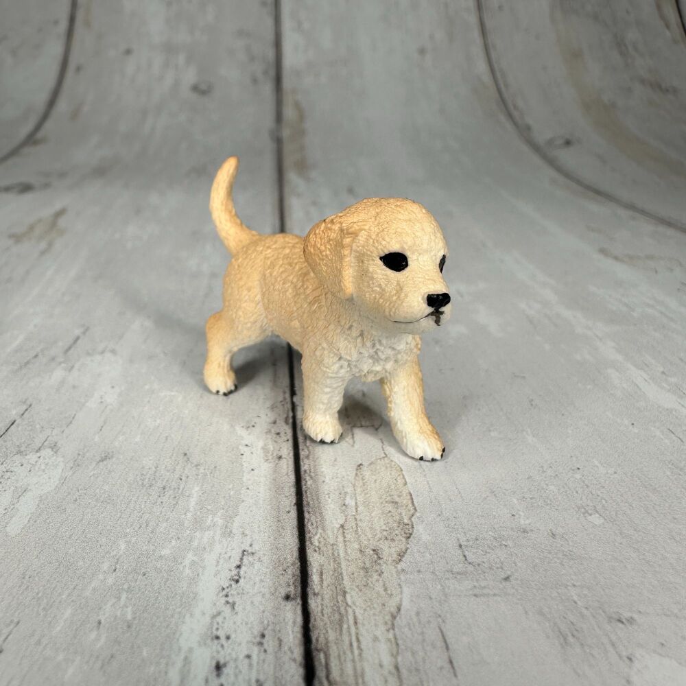 Labrador Puppy