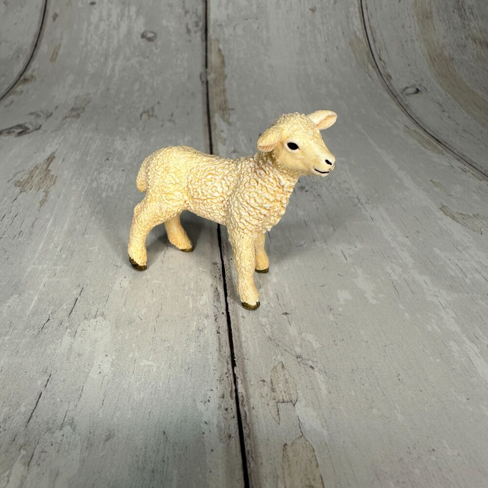 Lamb
