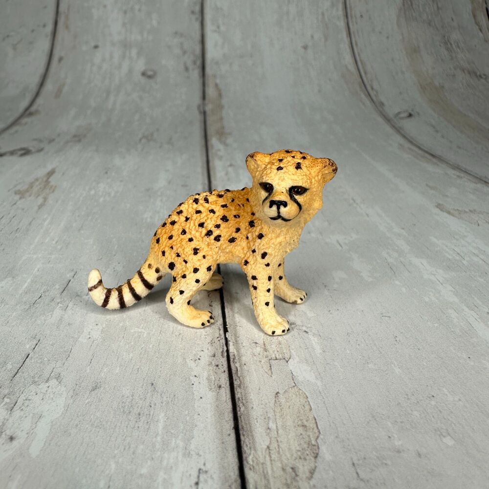 Leopard Cub