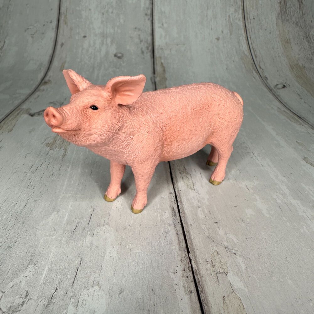 Pig