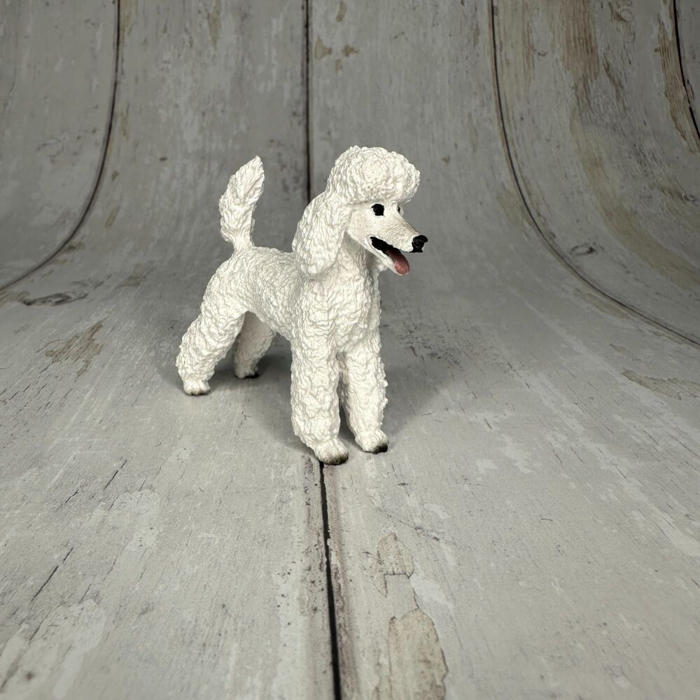 Poodle Dog