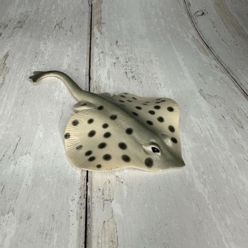 Stingray