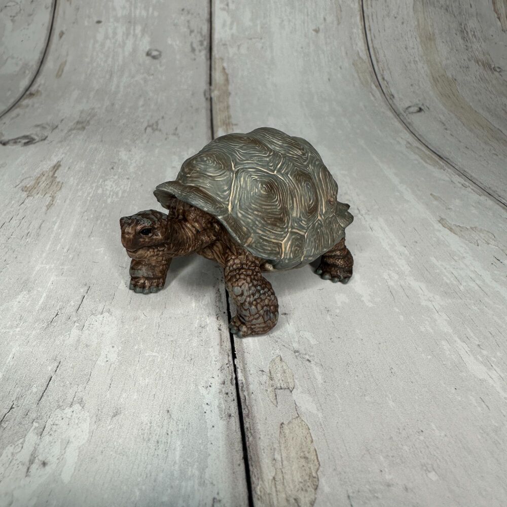 Tortoise