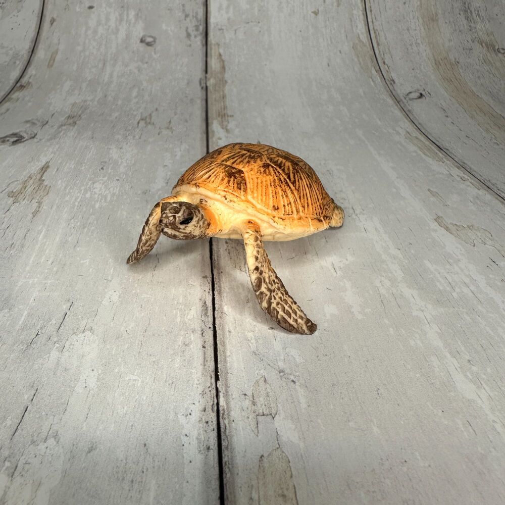Turtle