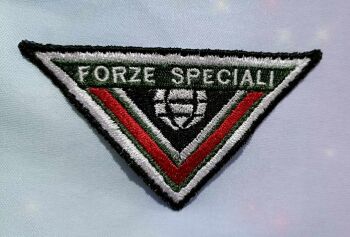 Call Of Duty Forze Speciali Patch