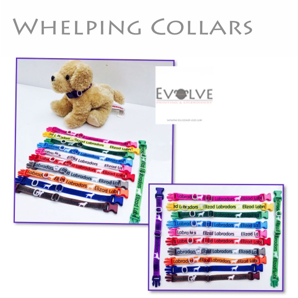 Whelping Collars