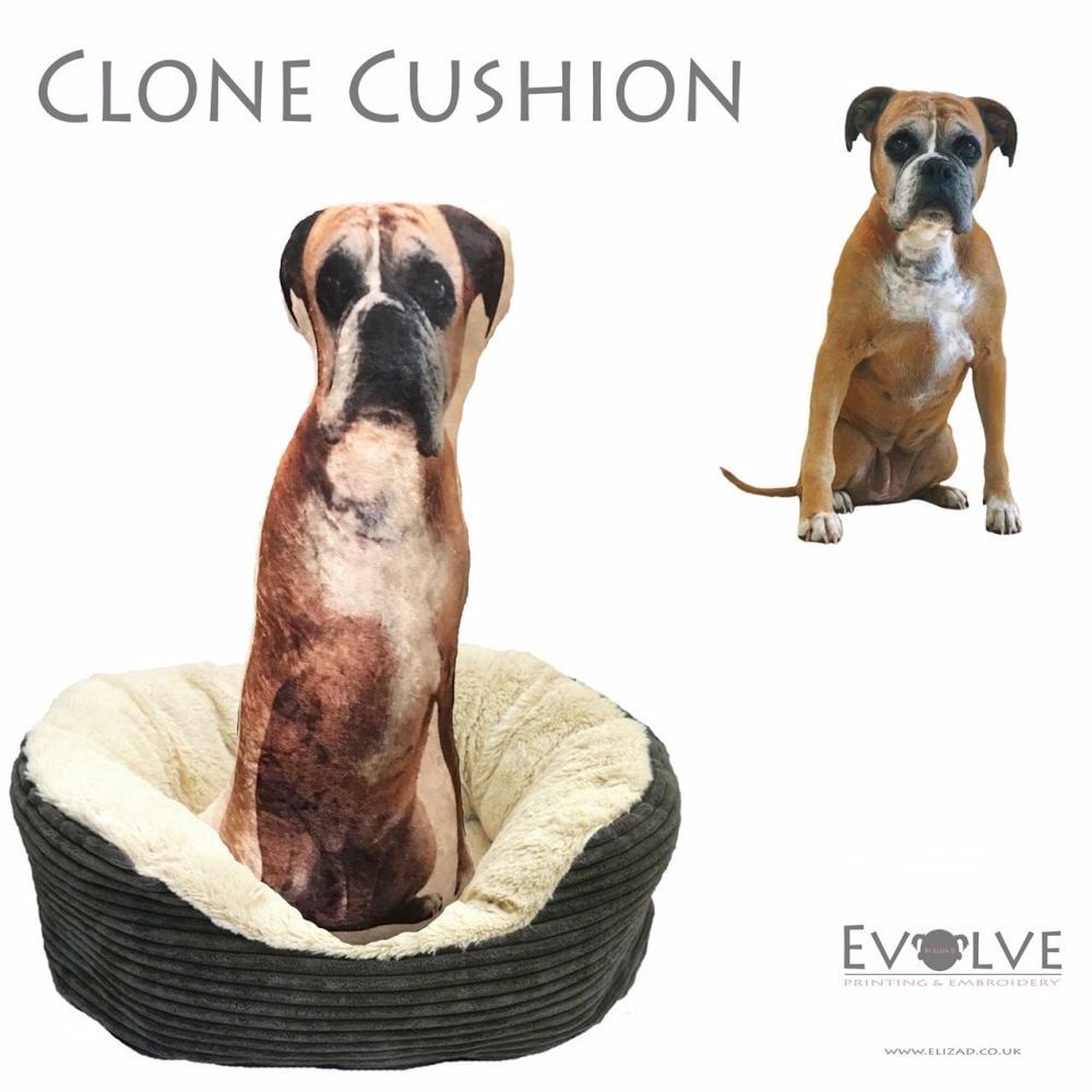 Clone Cushion & Bag Charm