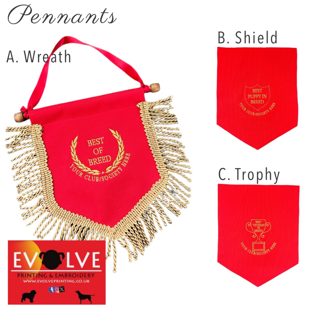 Pennants
