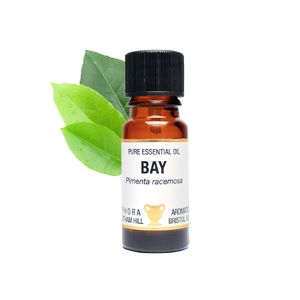 Essential Oil - Bay