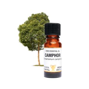 Essential Oil - Camphor