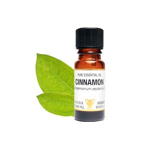 Essential Oil - Cinnamon