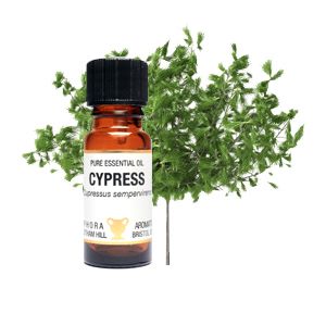Essential Oil - Cypress