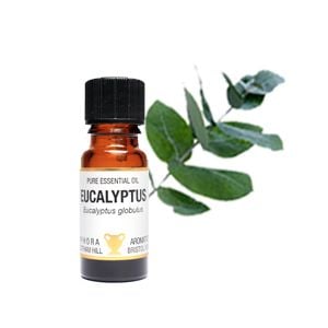 Essential Oil - Eucalyptus