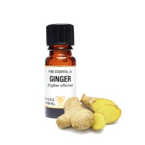 Essential Oil - Ginger