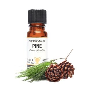 Essential Oil - Pine