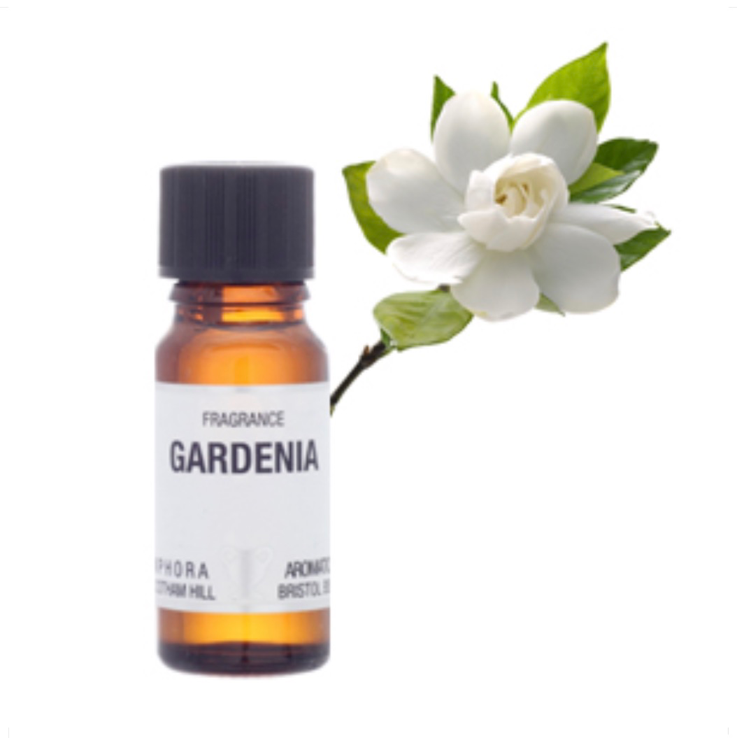 Fragrance Oil - Gardenia