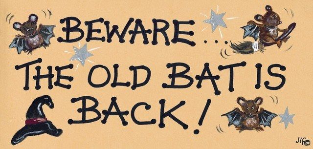 Witchy Sign - Beware... The Old Bat is Back!