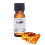 Fragrance Oil - Amber