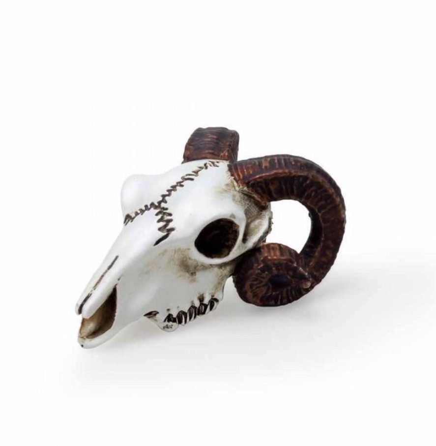 Miniature Ram Skull
