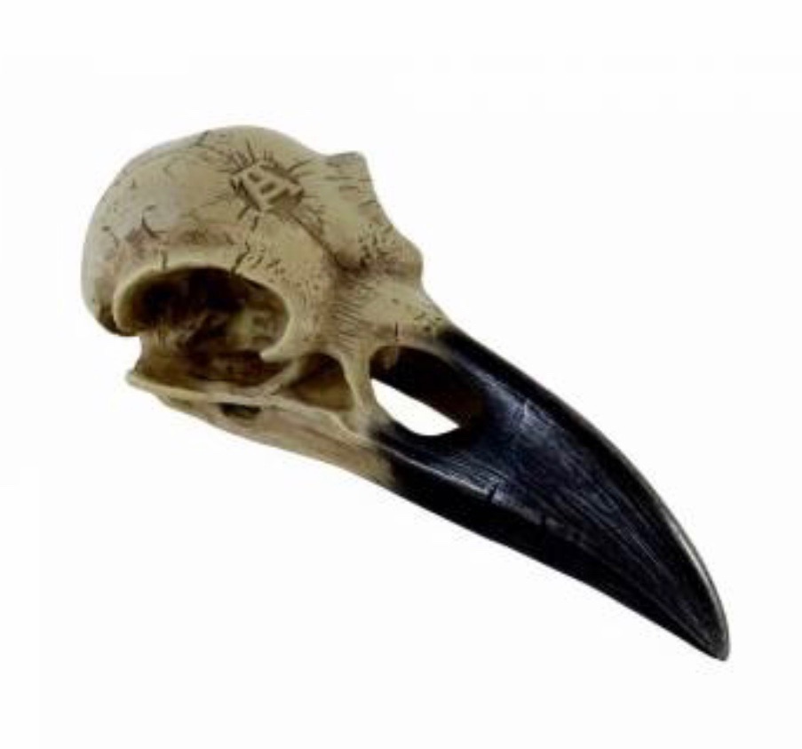 Corvus Alchemica Raven Skull