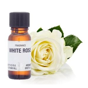 Fragrance Oil - Rose, White