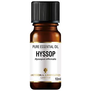 Essential Oil - Hyssop