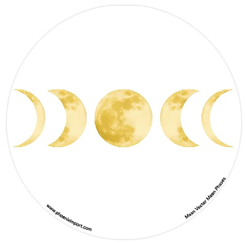 Window Sticker Phases of the Moon