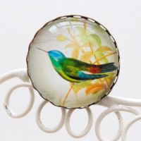 Indigo-capped Hummingbird brooch
