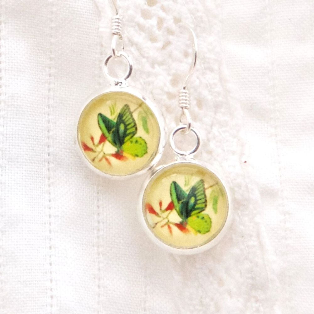 Ornithoptera priamus butterfly earrings