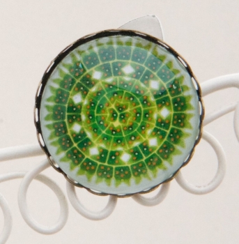 Ernst Haeckel Pediastrum green algae brooch