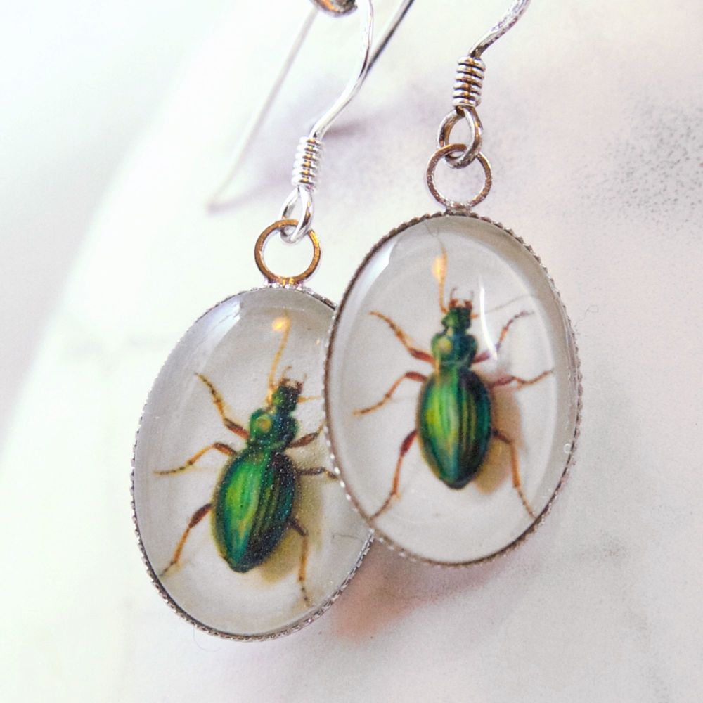 Green beetle earrings