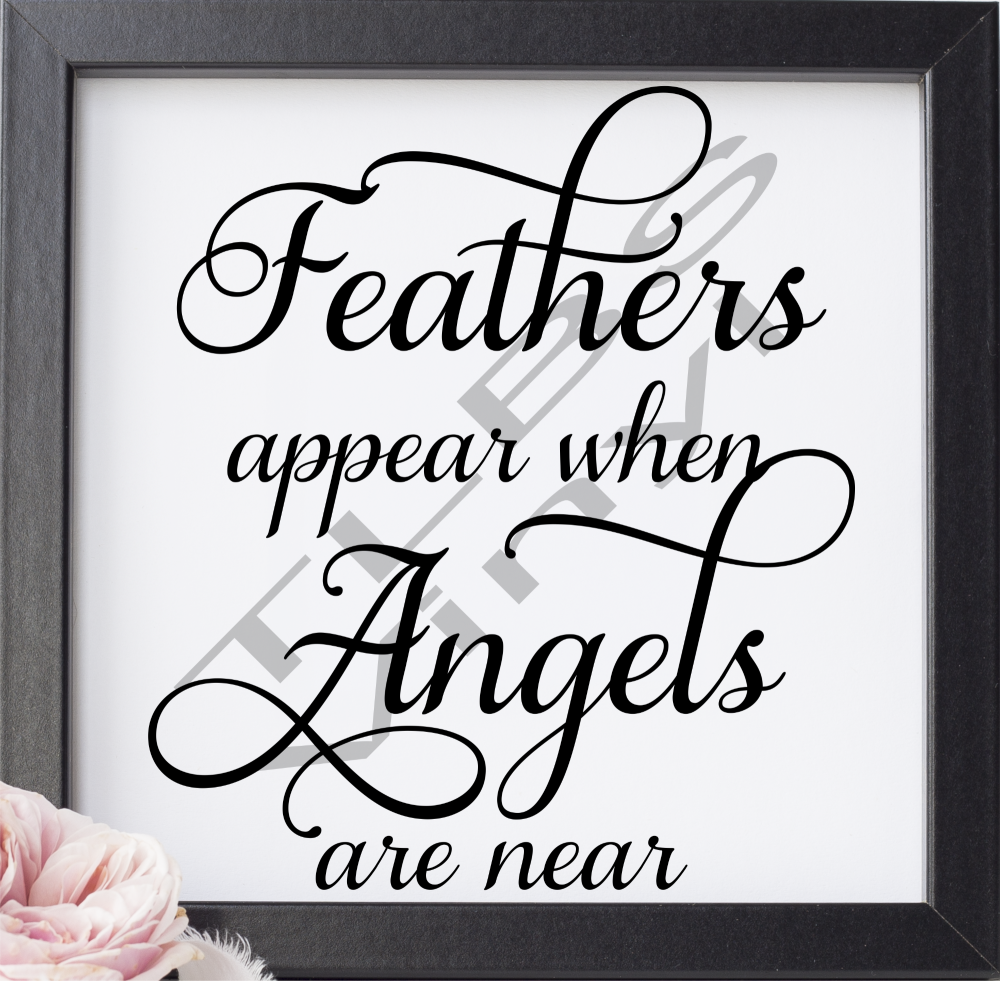 Feathers appear when angels are near