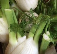 Organic fennel approximately 400g - should be in this friday