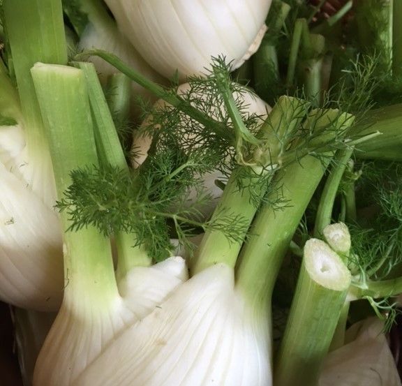 Organic fennel approximately 400g