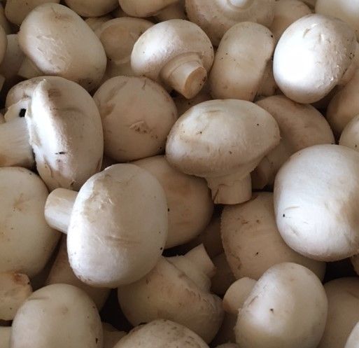 Mushrooms - organic white button mushrooms - 250g
