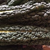 Organic Cavolo kale