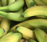 5 organic bananas approximately 575g