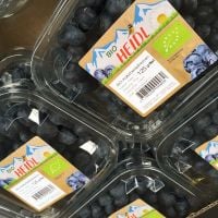 Organic Blueberries - fresh