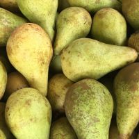 4 organic pears approximately 600g