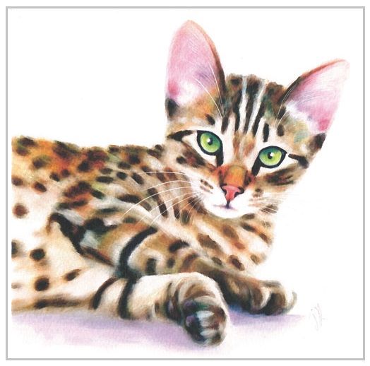 Greetings Card - Bengal Cat 