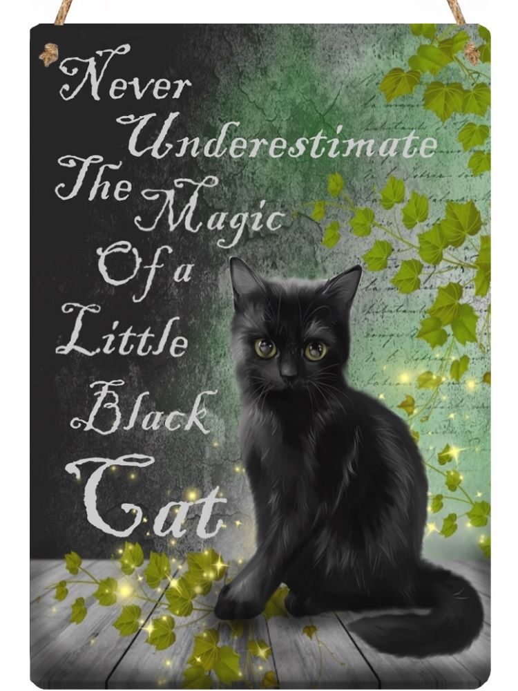 Hanging Metal Sign - Little Black Cat