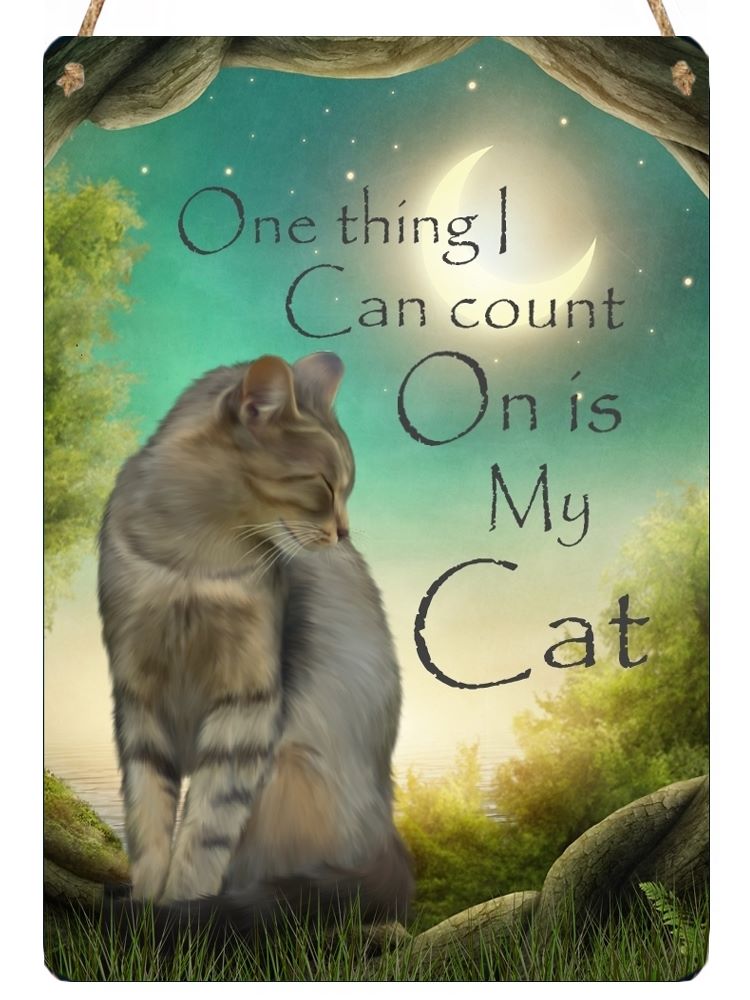 Hanging Metal Sign - I Can Count On My Cat...