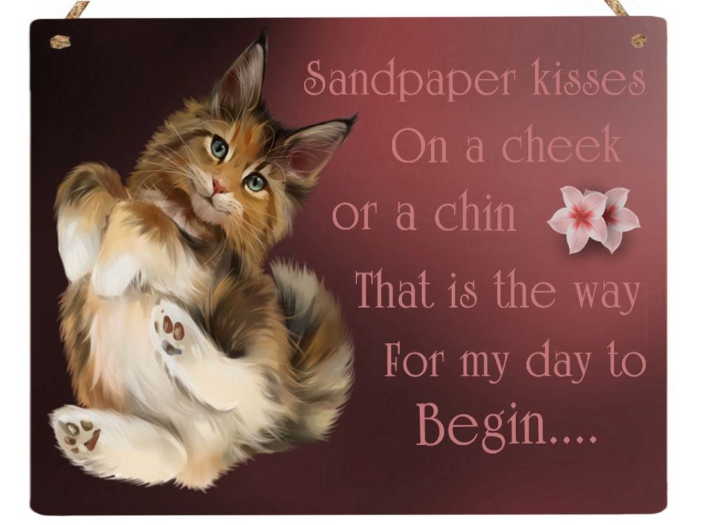 Hanging Metal Sign - Sandpaper Kisses