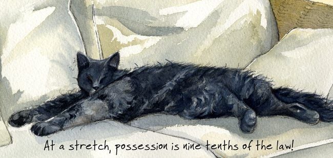 Magnificent Moggies Greetings Card - Stretch